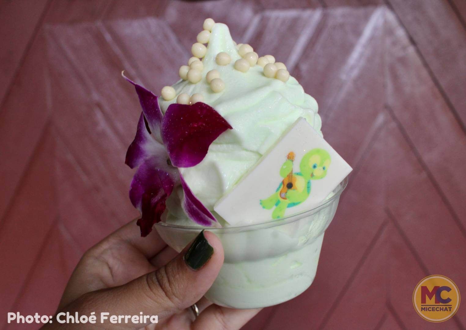 , Walt Disney World Update – Fall Festivities, Ghoulish Delights & A Polynesian Surprise