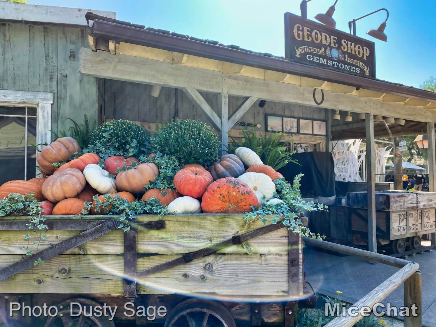 , Disneyland Update – A Tale of Wild Extremes