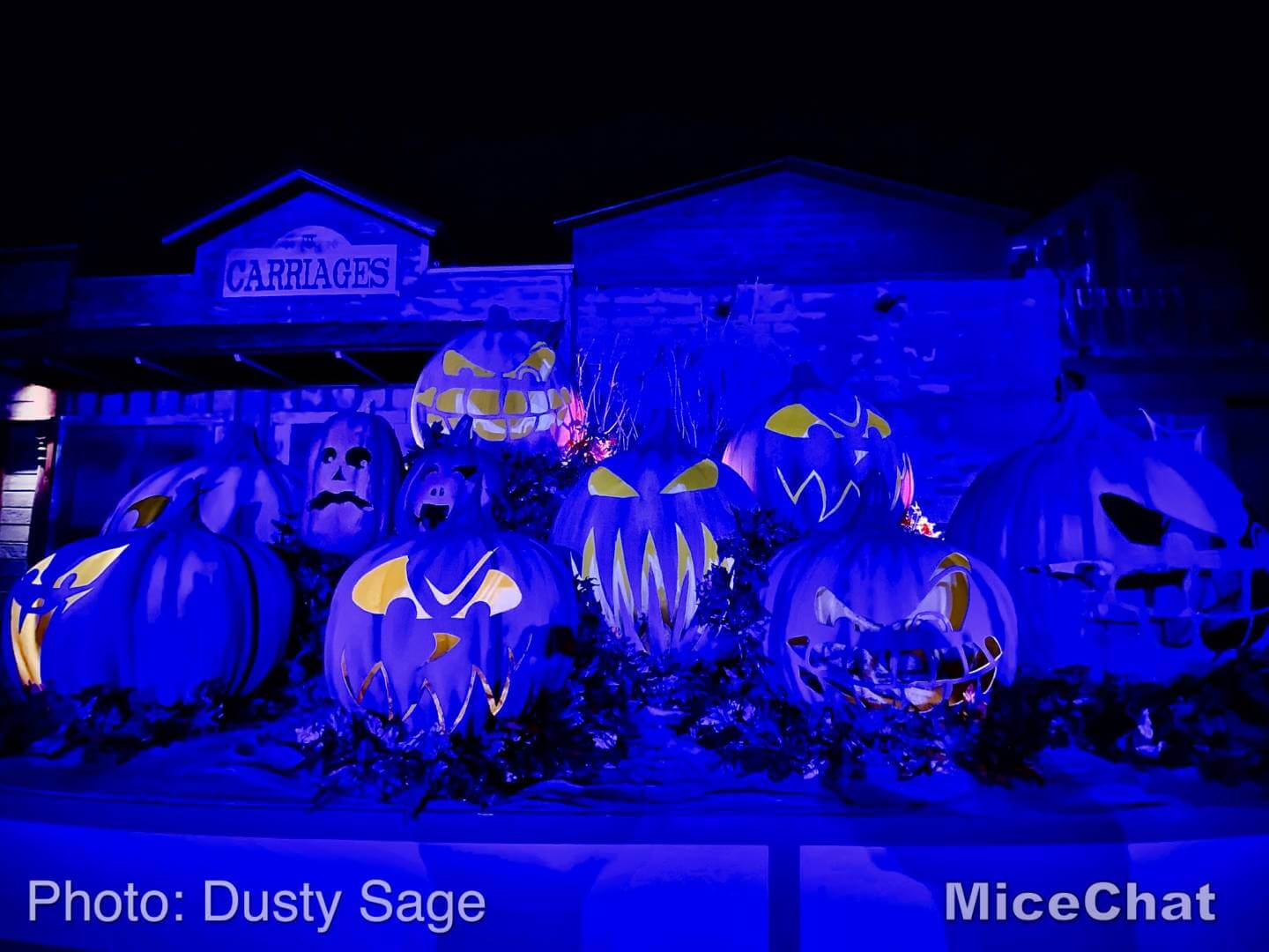 , Disneyland Update – A Tale of Wild Extremes