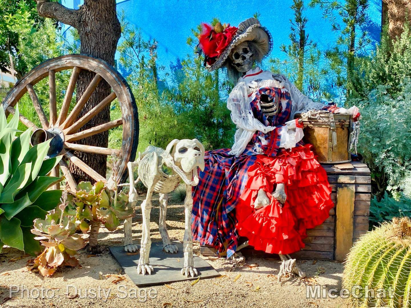 , Disneyland Update – A Tale of Wild Extremes