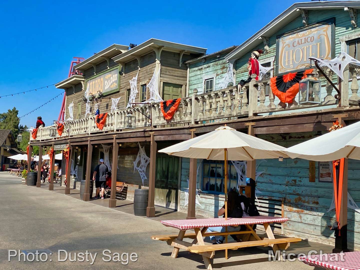 , Disneyland Update – A Tale of Wild Extremes