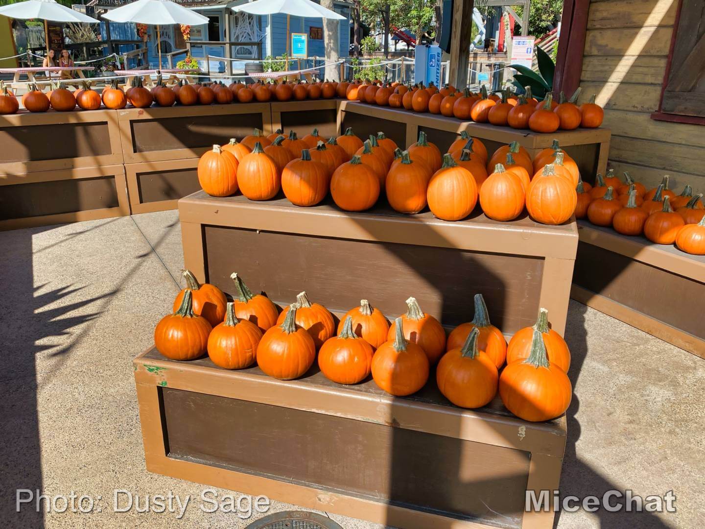 , Knott&#8217;s Taste of Fall-O-Ween Is the Perfect Halloween Treat