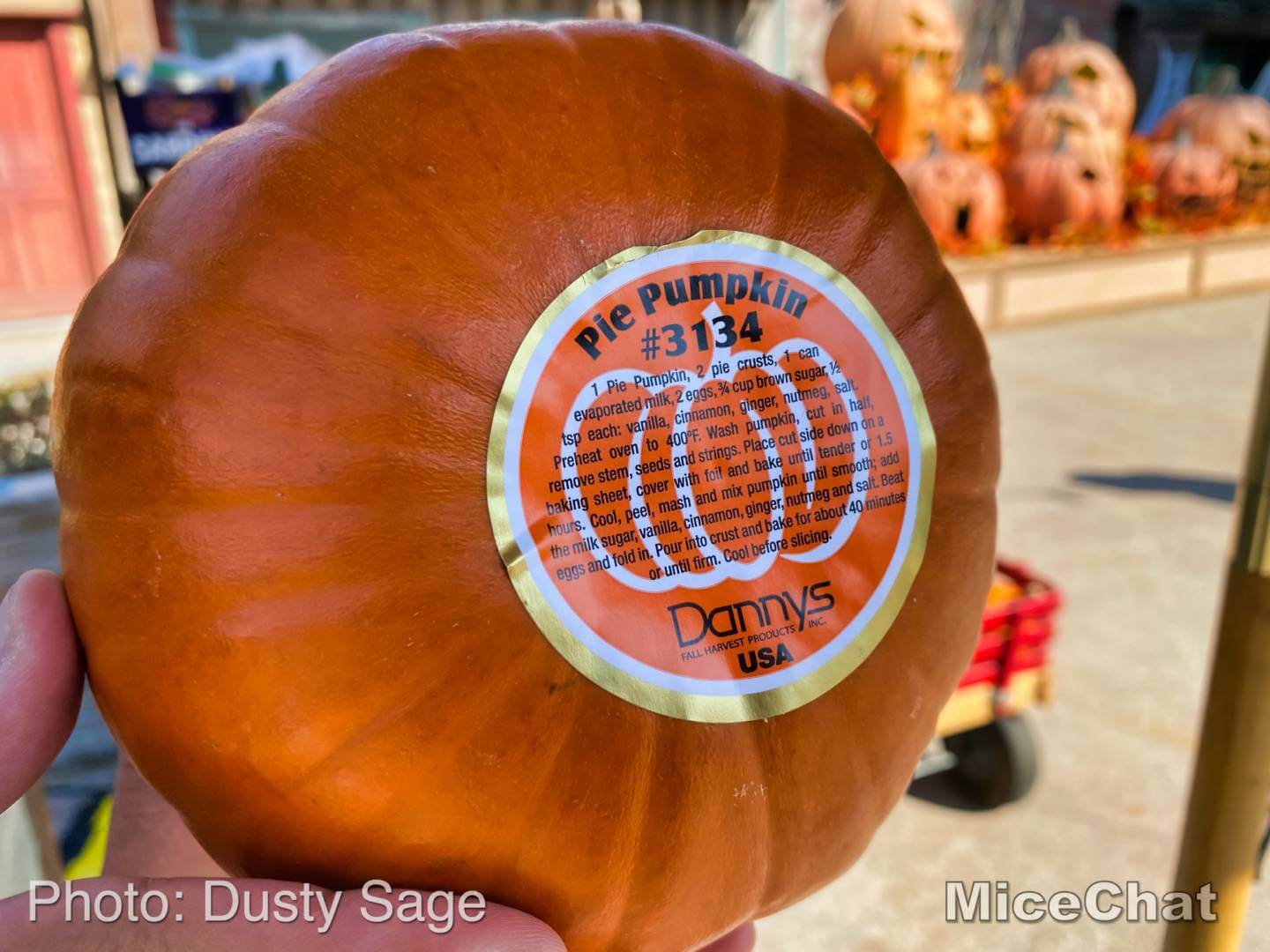 , Knott&#8217;s Taste of Fall-O-Ween Is the Perfect Halloween Treat