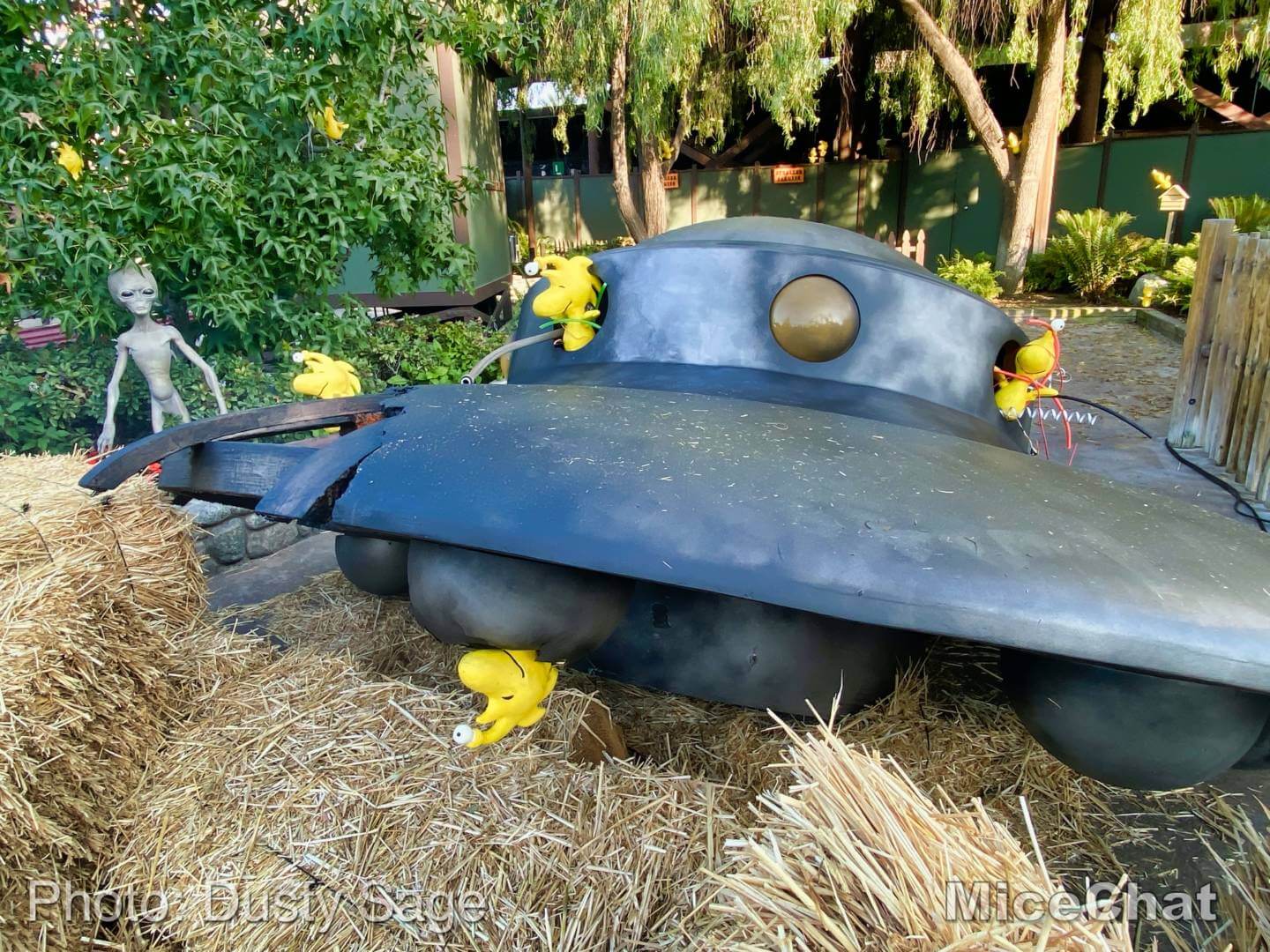 , Disneyland Update – A Tale of Wild Extremes