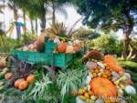 Knotts Fall-O-WeenTreat Trail Pumpkin Display-micechat
