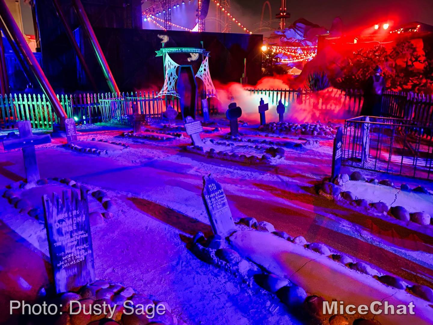 , Disneyland Update – A Tale of Wild Extremes