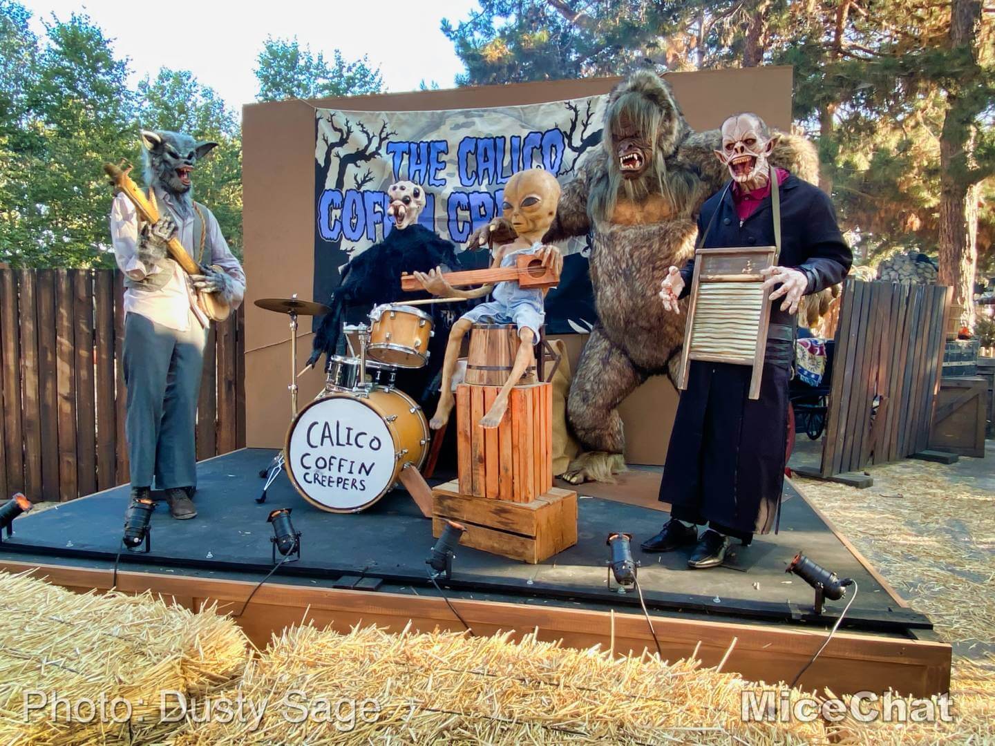 , Disneyland Update – A Tale of Wild Extremes