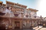 Knotts Taste of Fall-O-Ween calico Saloon MiceChat