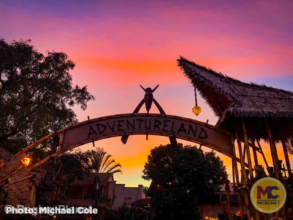 , Disneyland Update – How Soon is “Very, Very Soon”
