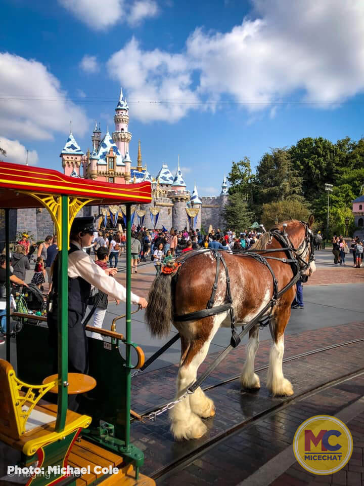 , Disneyland Update – How Soon is “Very, Very Soon”