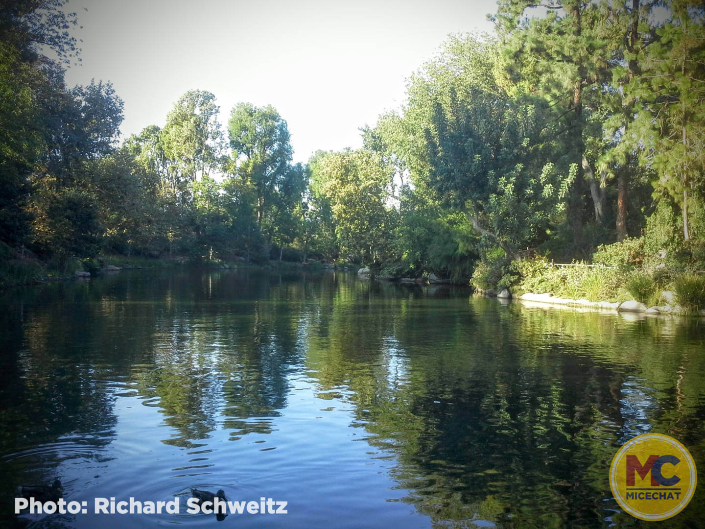 , Disneyland Update – How Soon is “Very, Very Soon”