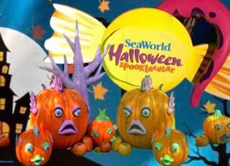 SeaWorld Orlando Halloween Spooktacular a Trick and a Treat