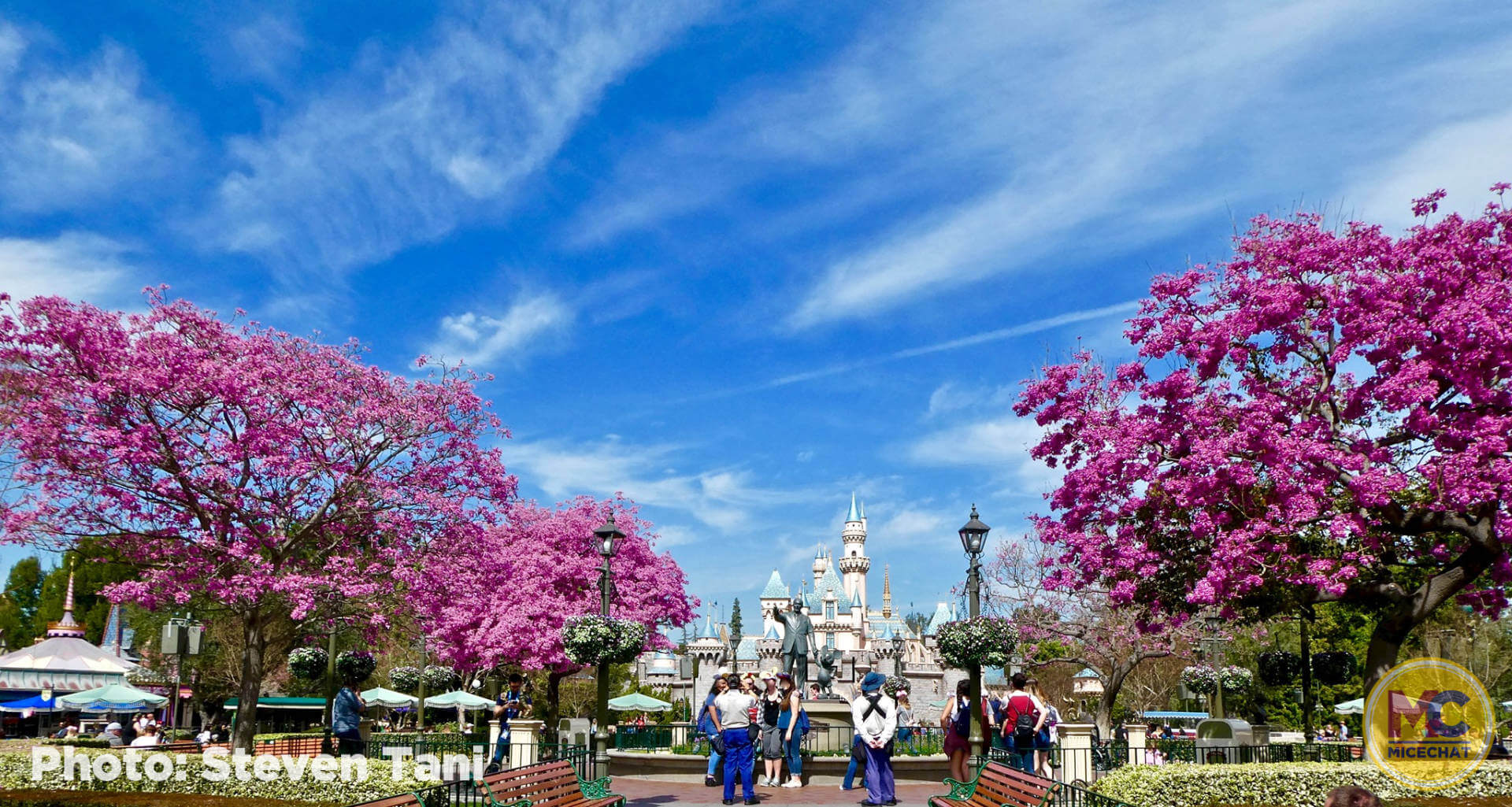 , Disneyland Update – How Soon is “Very, Very Soon”