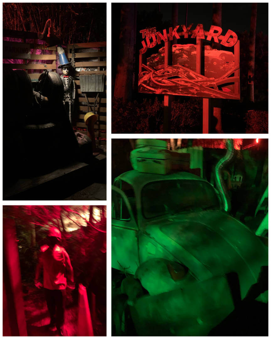 , NOW OPEN: Howl-O-Scream at Busch Gardens Tampa!