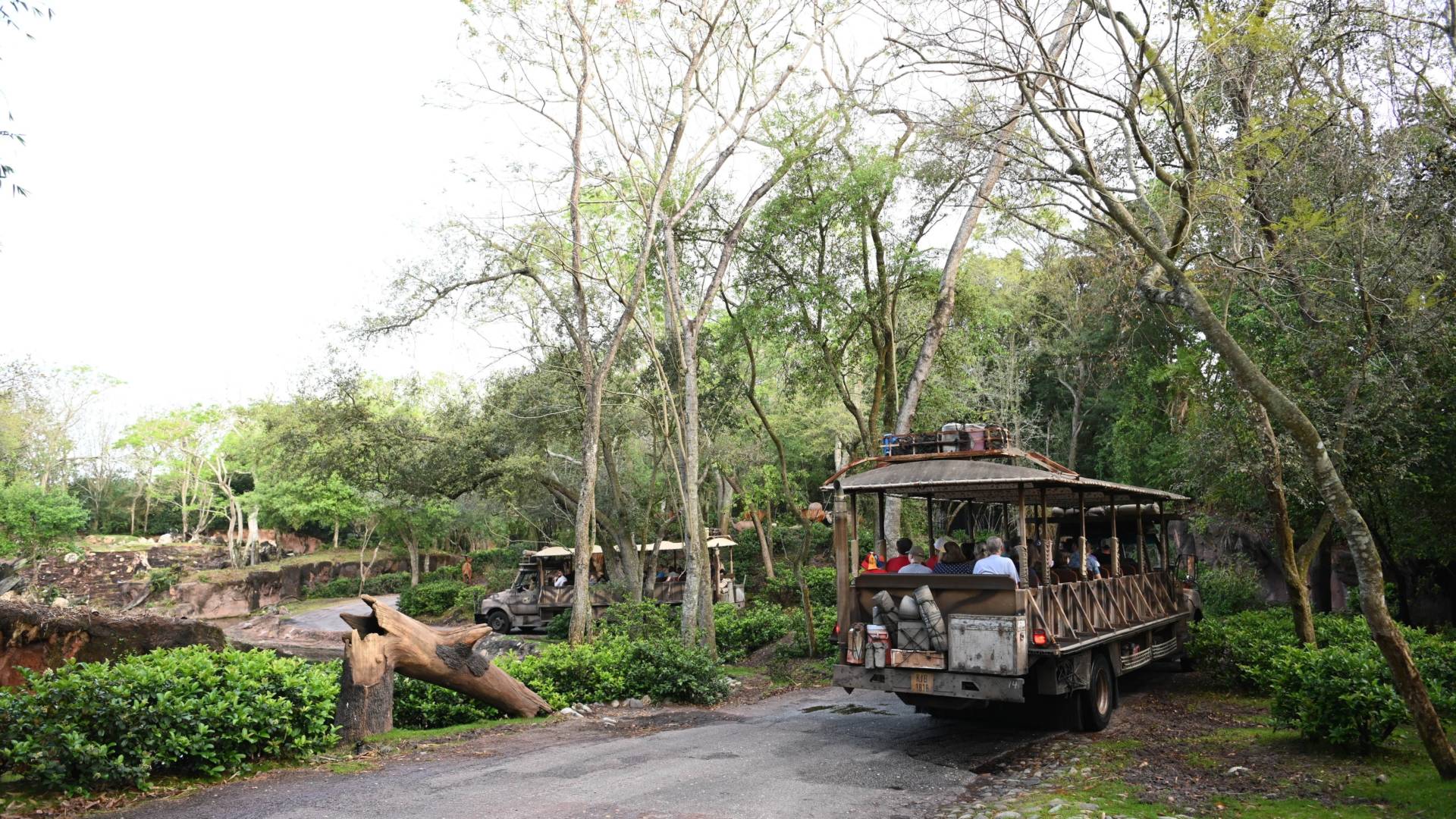 , Lions, and Tigers, and Sharks, Oh My! The Magic of Disney&#8217;s Animal Kingdom on Disney+