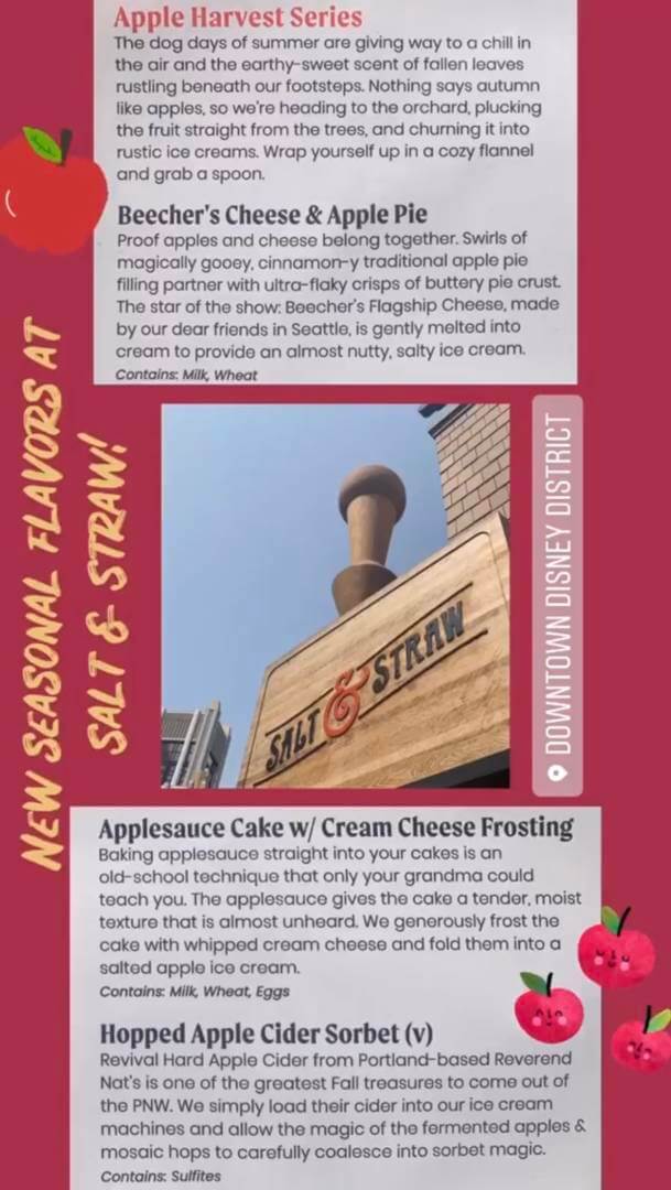 , Disneyland Update – How Soon is “Very, Very Soon”