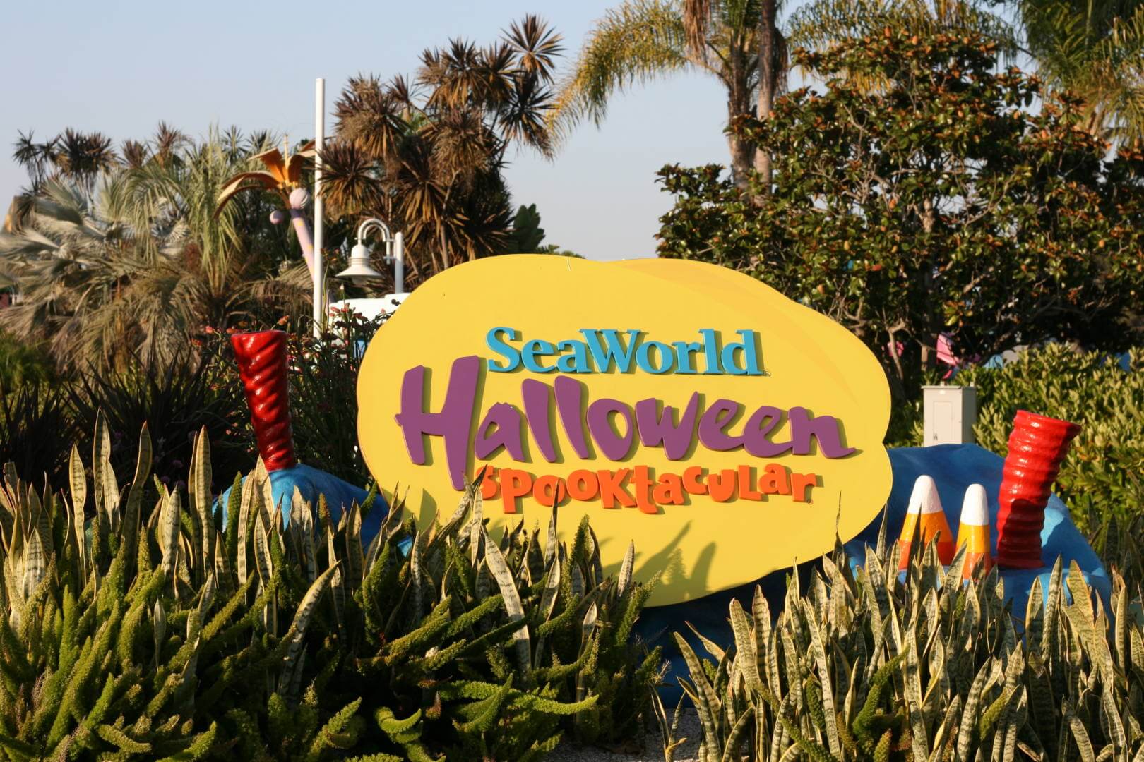 , Trick Or Treat &#8211; SeaWorld San Diego Halloween Spooktacular