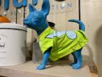 Disneyland-merchandise-update-disney-home-older-tinker-bell-pet-costume