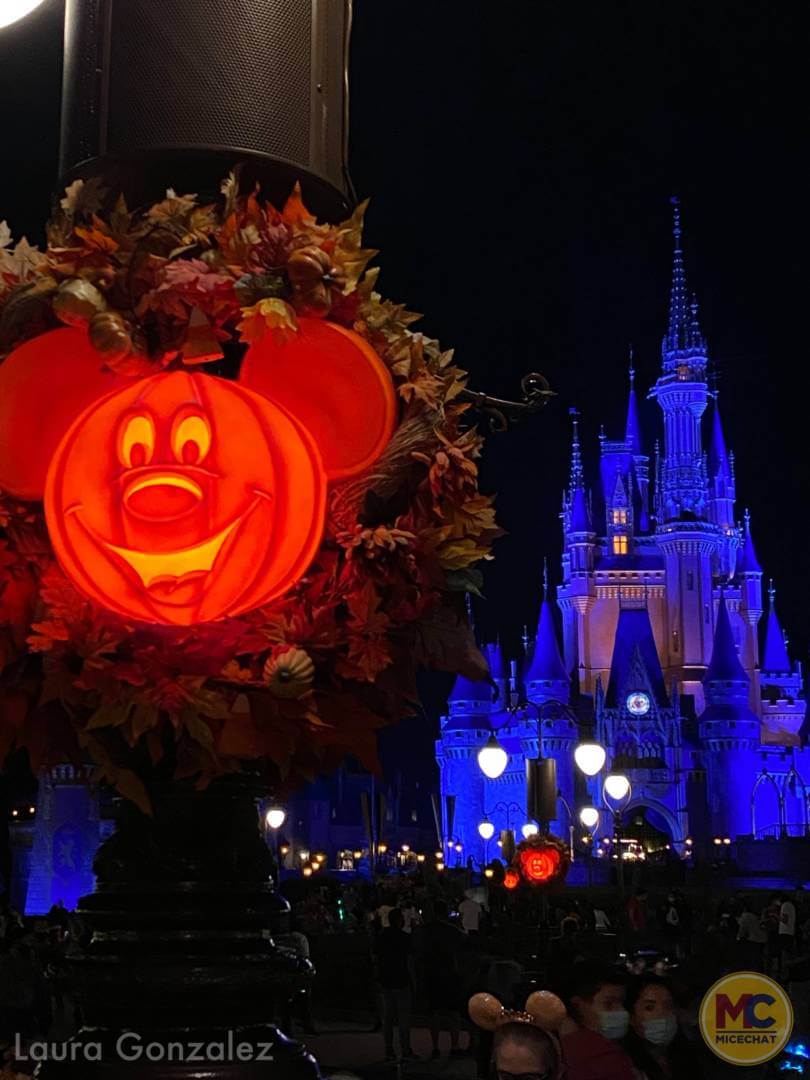 , Walt Disney World Update &#8211; The Show WON&#8217;T Go On