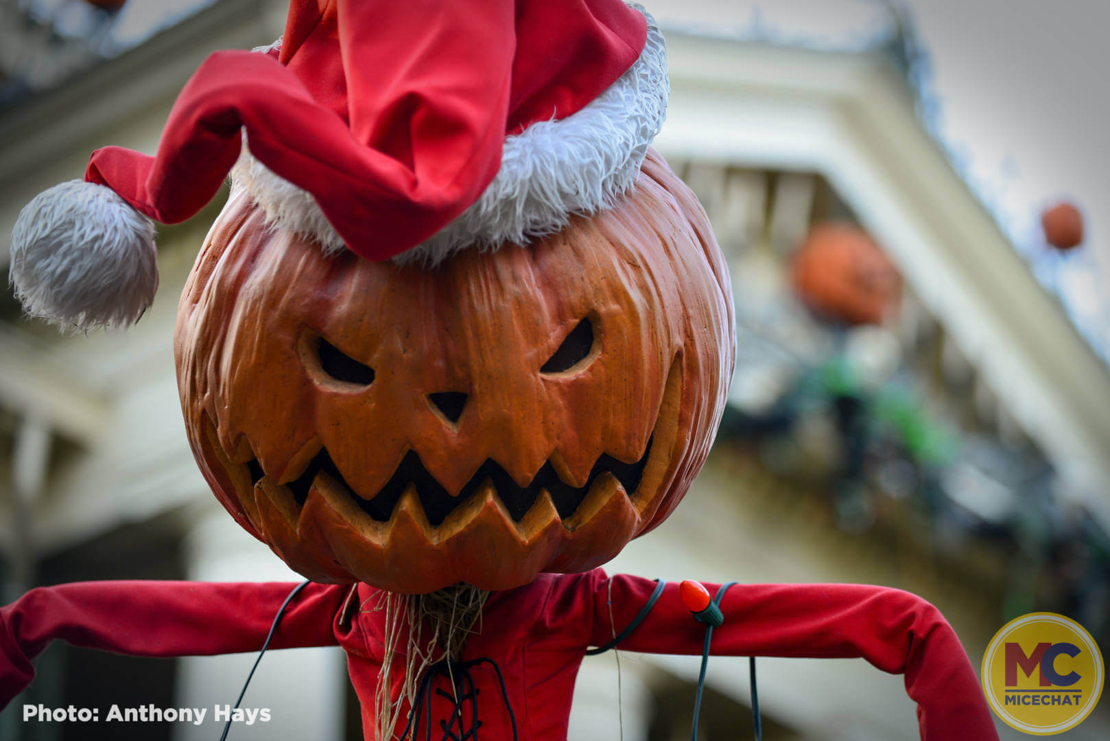 , Disneyland Update: The Nightmare Before Christmas!