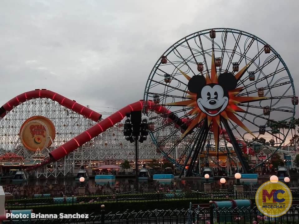 , Disneyland Update – You Aren’t Going to Like This