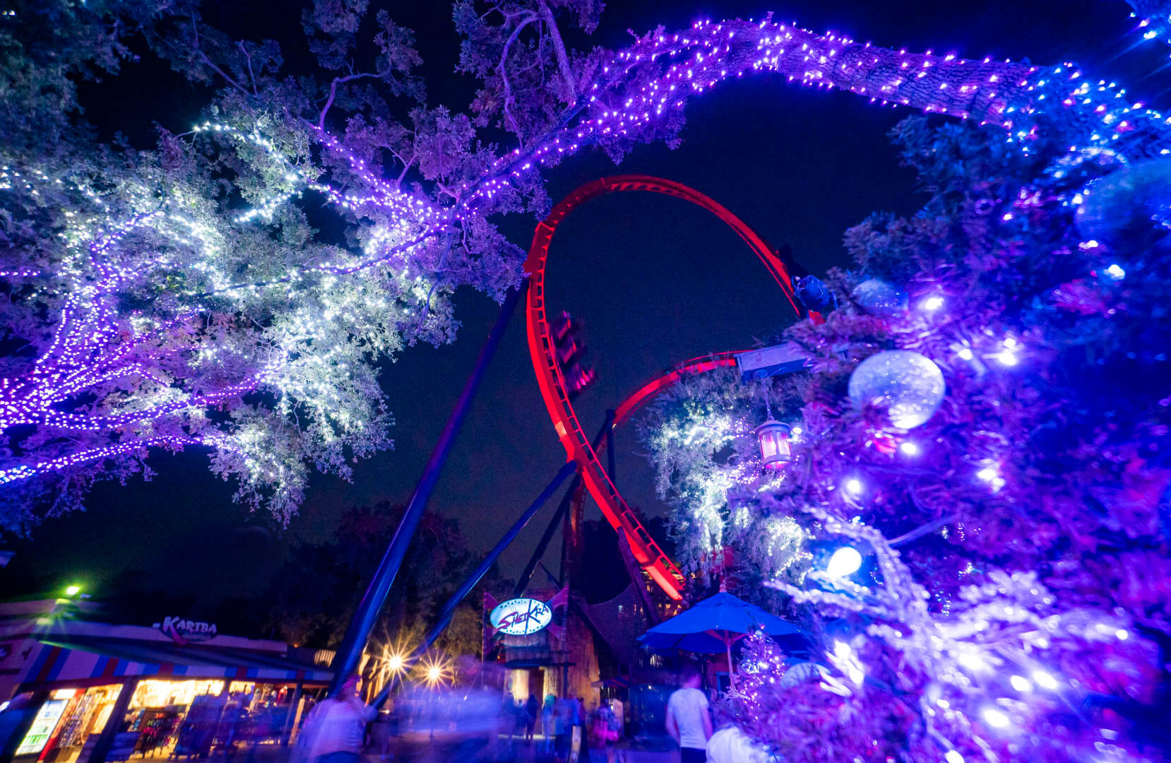 , Discover Holiday Magic at Busch Gardens Tampa’s Christmas Town