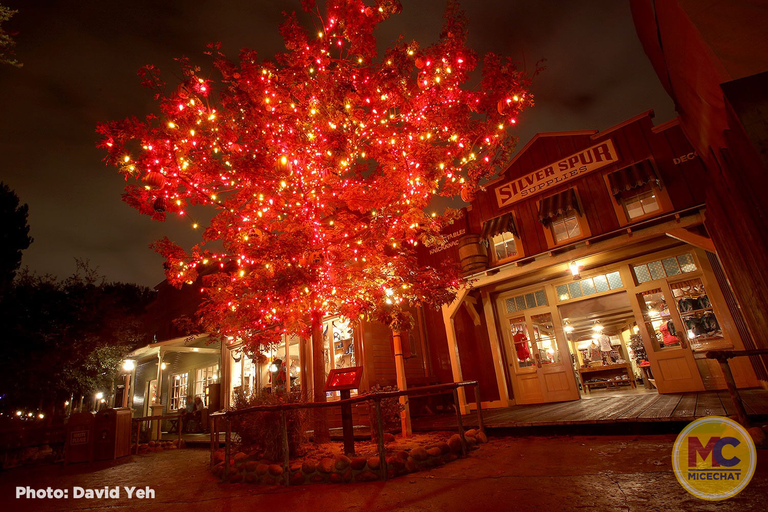 , Disneyland Update – You Aren’t Going to Like This