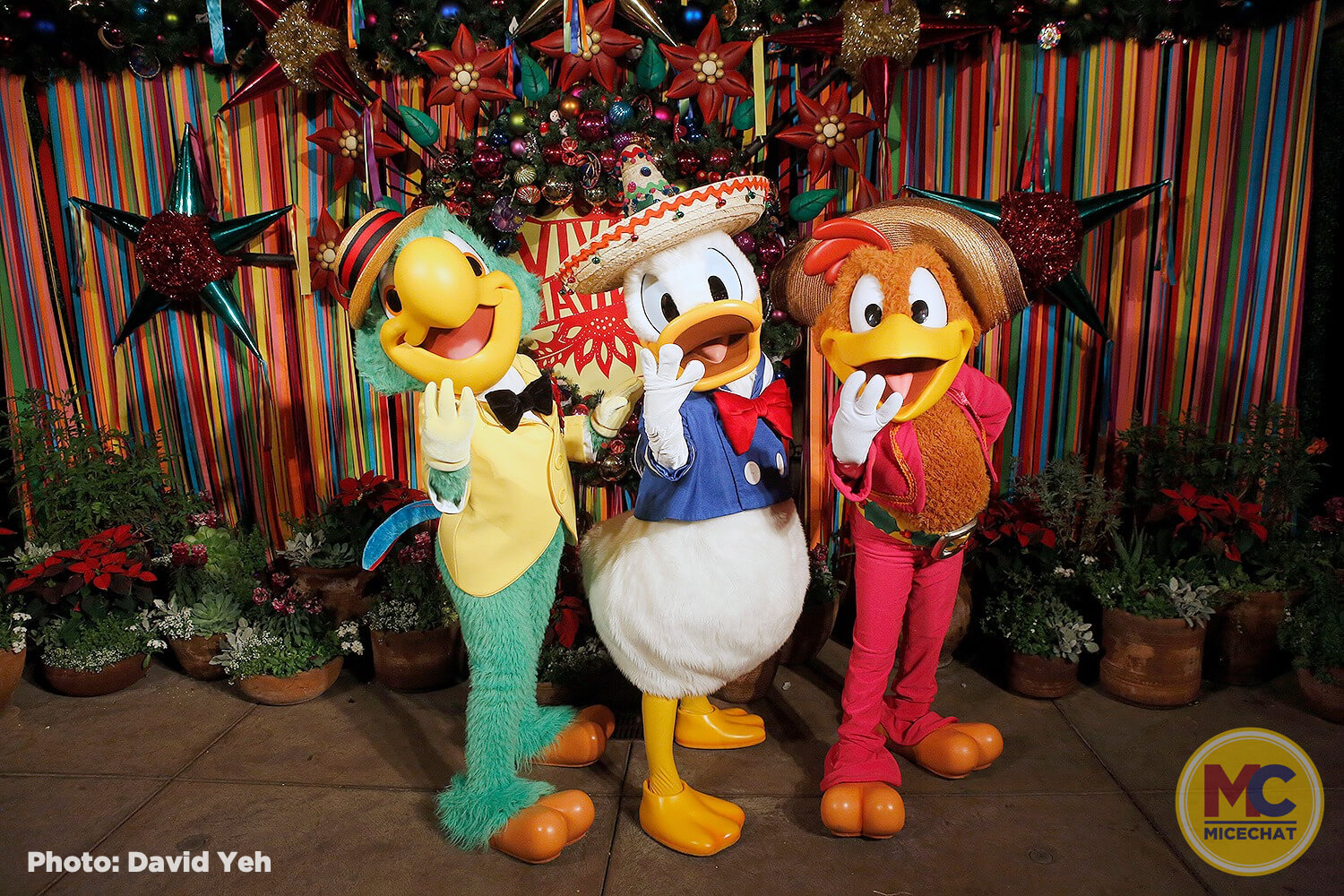 , Disneyland Update: The Nightmare Before Christmas!
