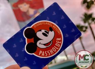 BREAKING NEWS: Disneyland Annual Pass Program Ending!