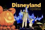 Disneyland News Update Christmas Layoffs
