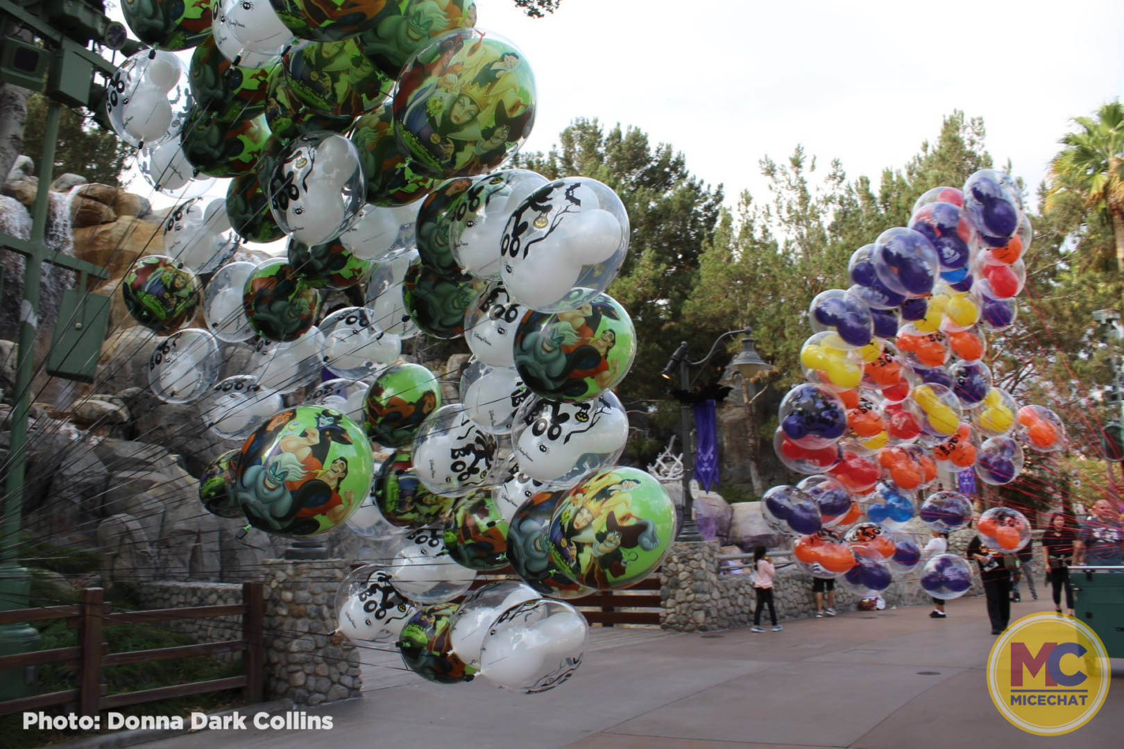 , Disneyland Update – You Aren’t Going to Like This
