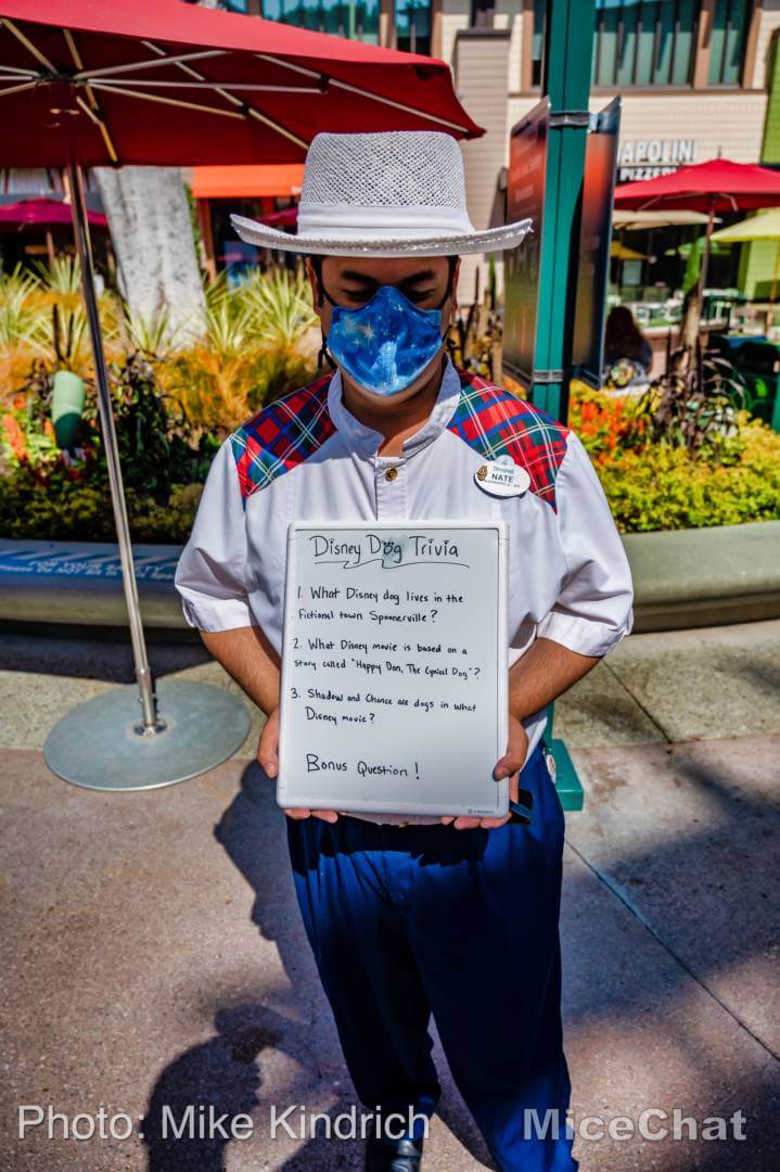 , Disneyland Update: Don’t Count on Christmas