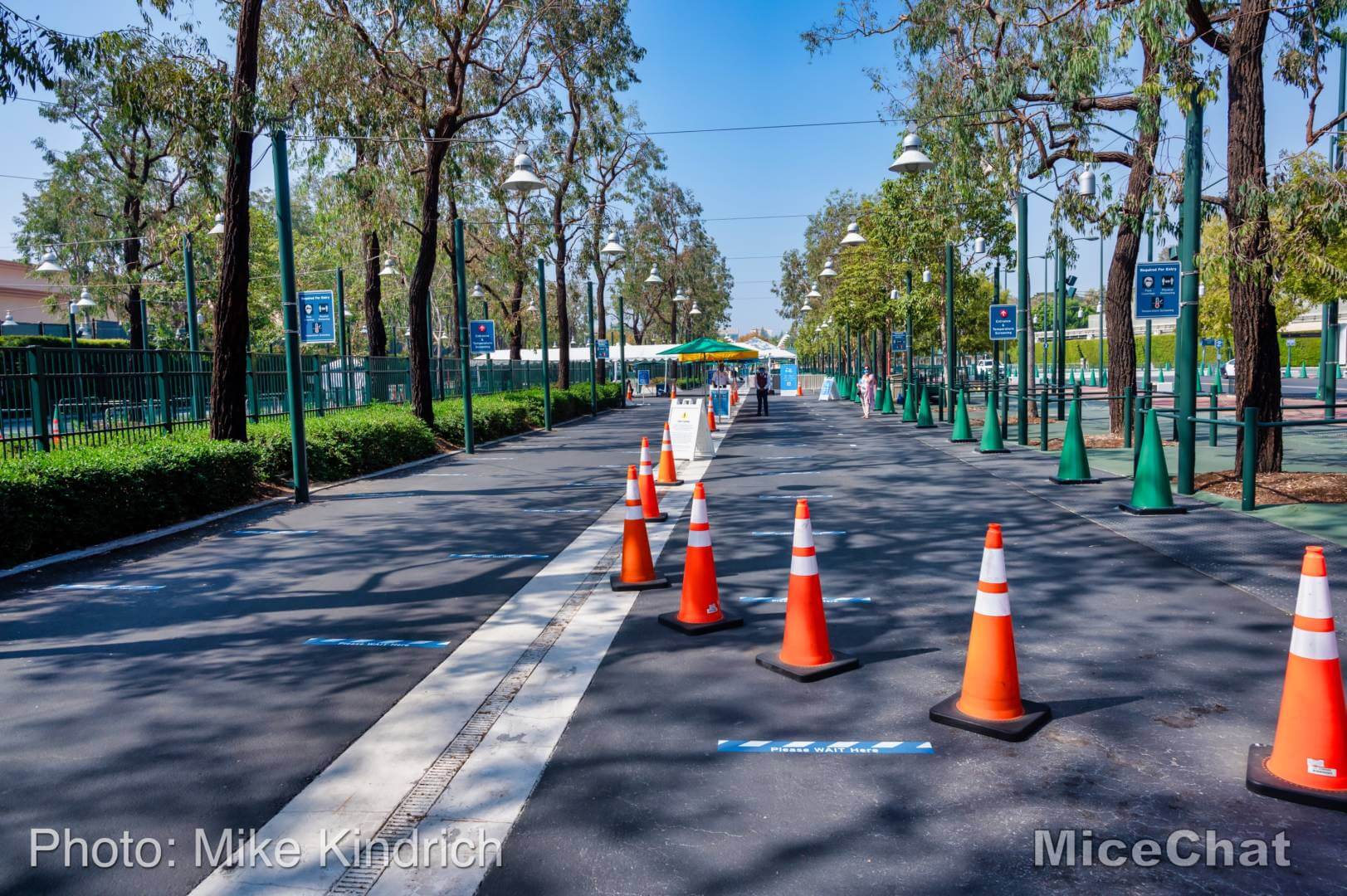 , Disneyland Update: Don’t Count on Christmas