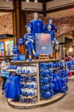 Downtown Disney World of Disney Display true blue display-micechat