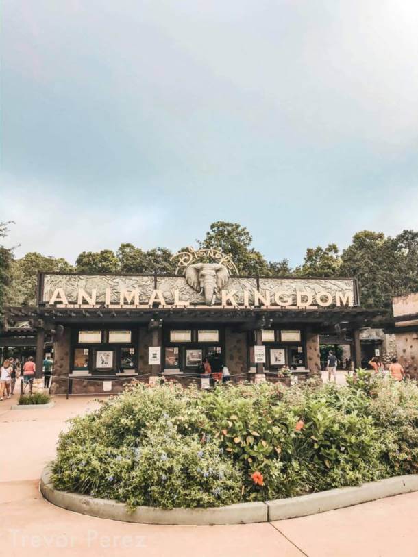 , Walt Disney World Update – Silver Linings and Increased Crowds Ahead