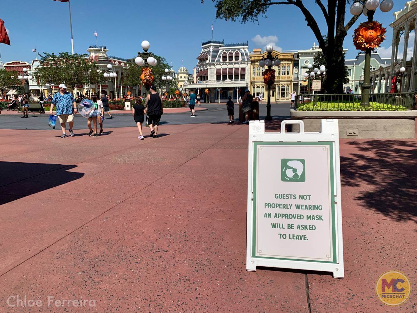 , Walt Disney World Update – How Much of a Good Thing is Too Much?