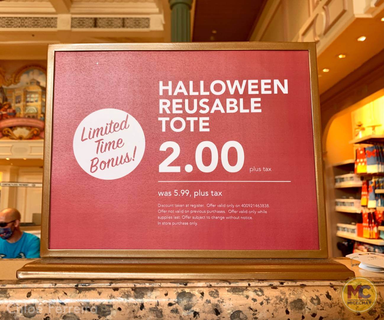 , Walt Disney World Update – How Much of a Good Thing is Too Much?