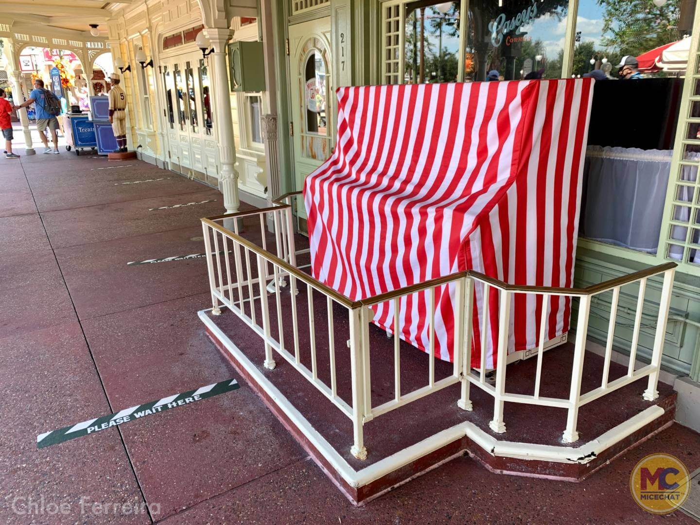 , Walt Disney World Update – How Much of a Good Thing is Too Much?