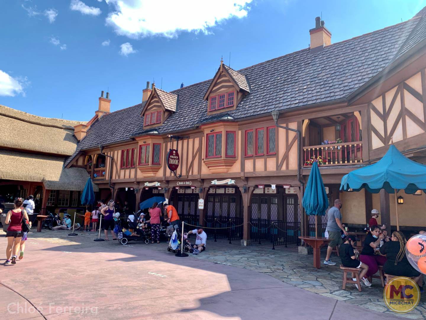 , Walt Disney World Update – How Much of a Good Thing is Too Much?