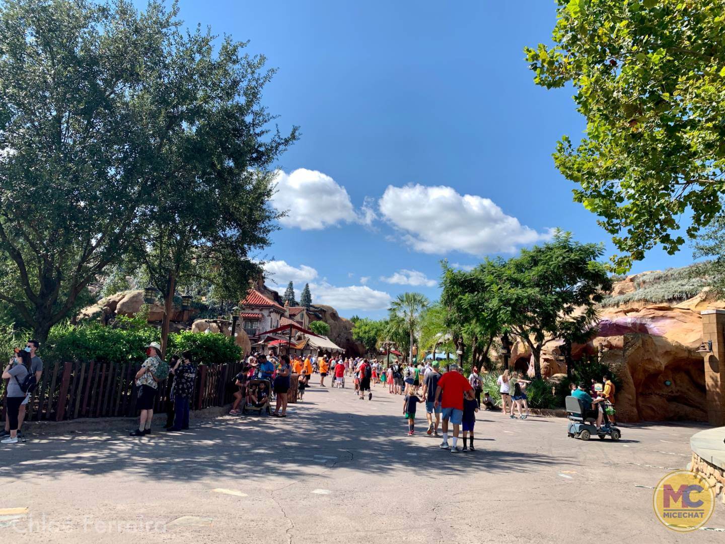 , Walt Disney World Update – How Much of a Good Thing is Too Much?