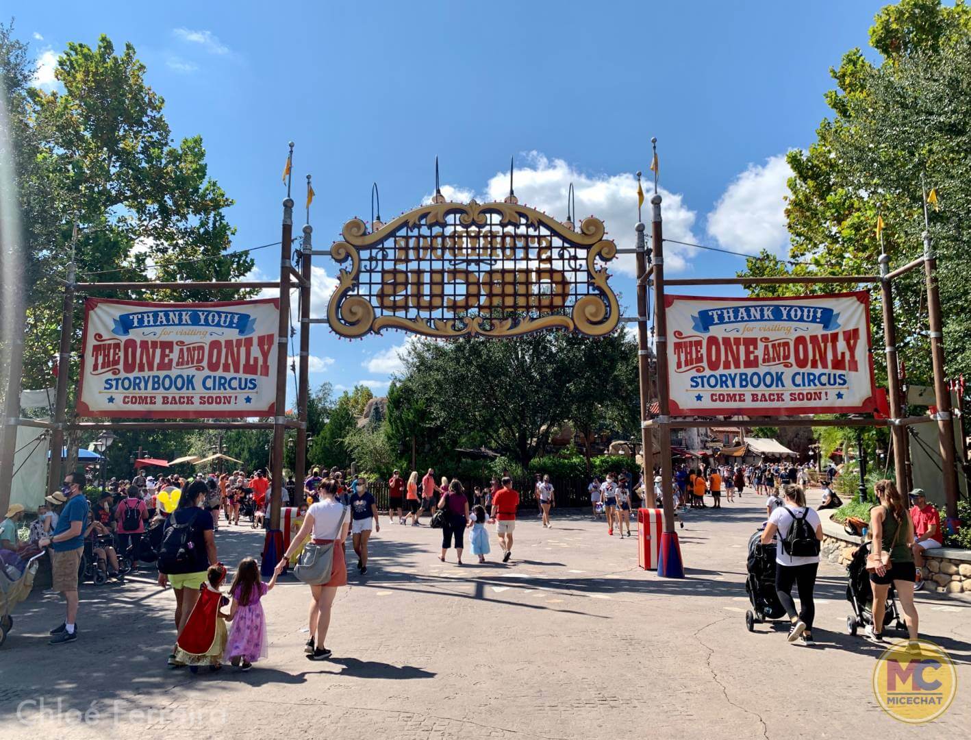 , Walt Disney World Update – How Much of a Good Thing is Too Much?