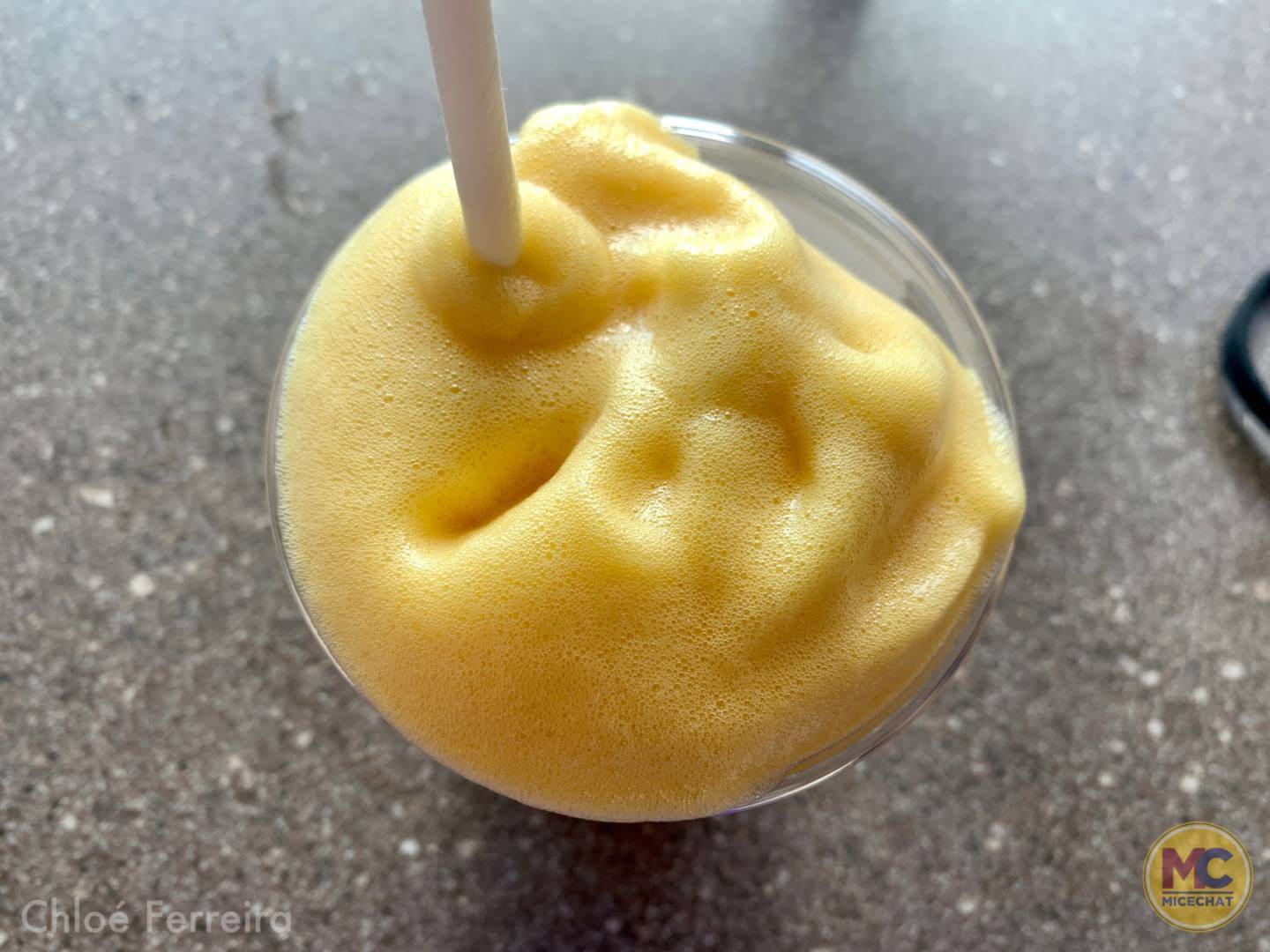 , Walt Disney World Update – How Much of a Good Thing is Too Much?
