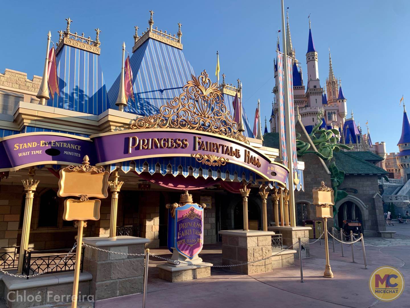 , Walt Disney World Update – How Much of a Good Thing is Too Much?
