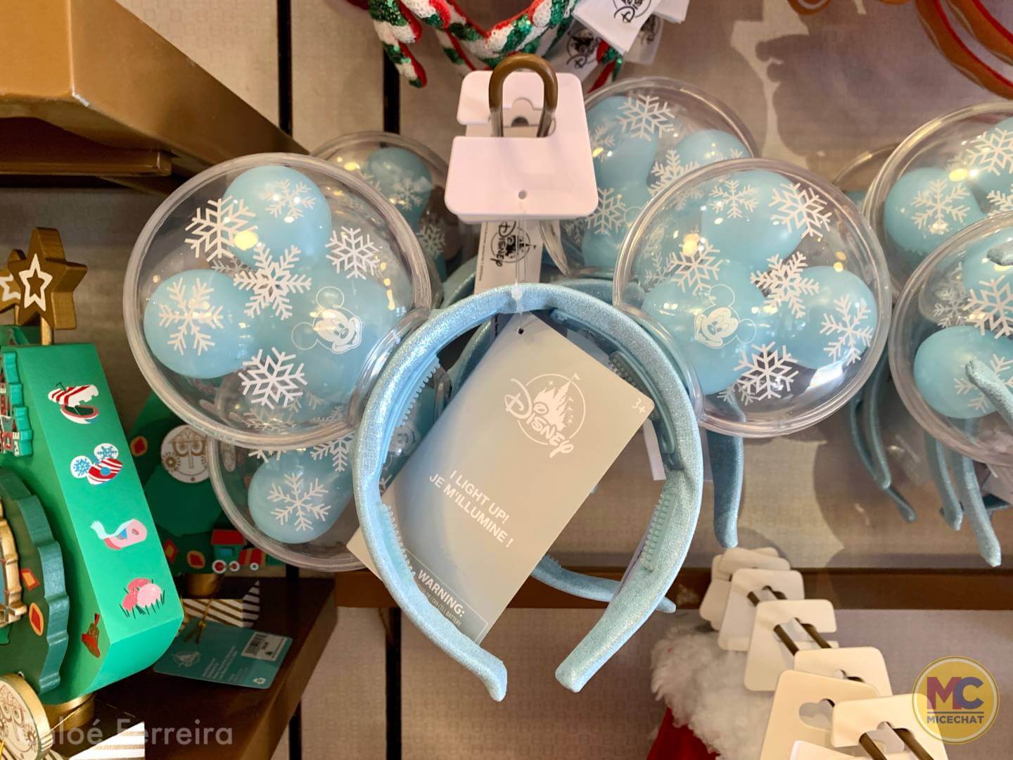 , Walt Disney World Update – The Show WON’T Go On