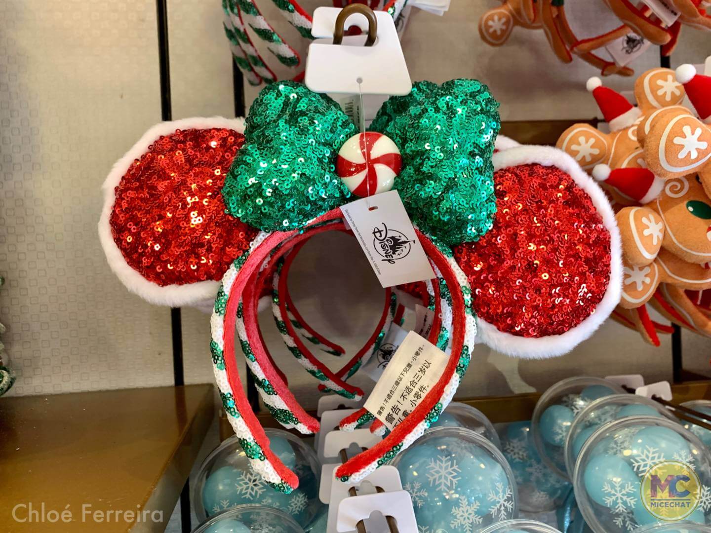 , Walt Disney World Update – The Show WON’T Go On