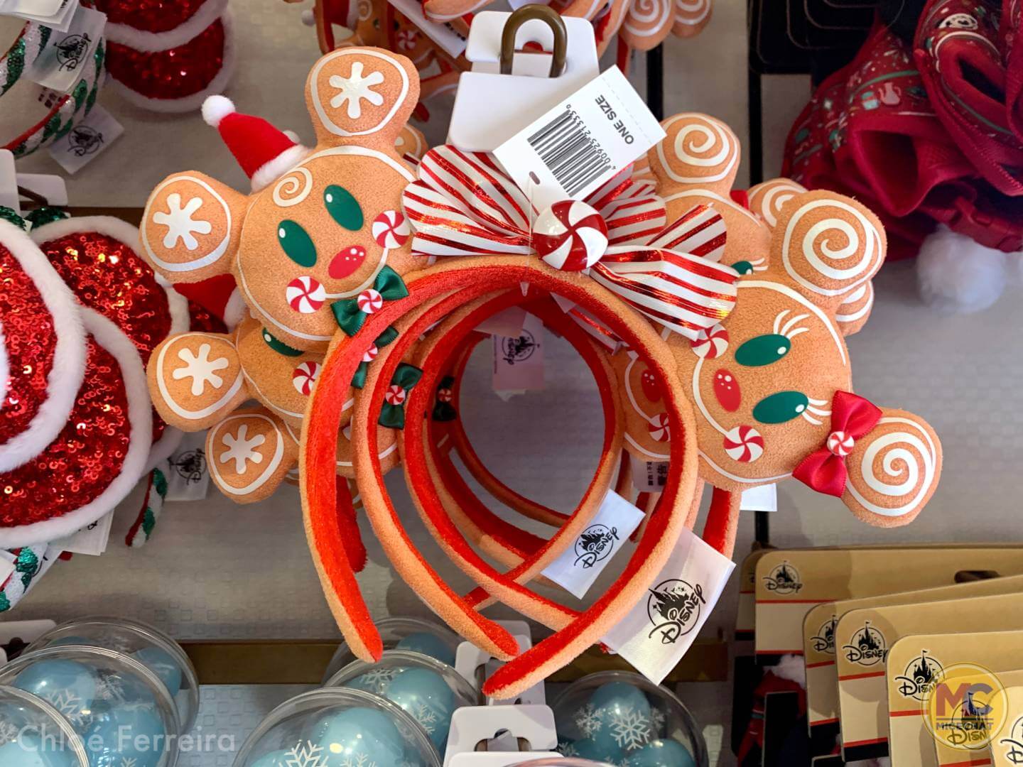 , Walt Disney World Update – The Show WON’T Go On