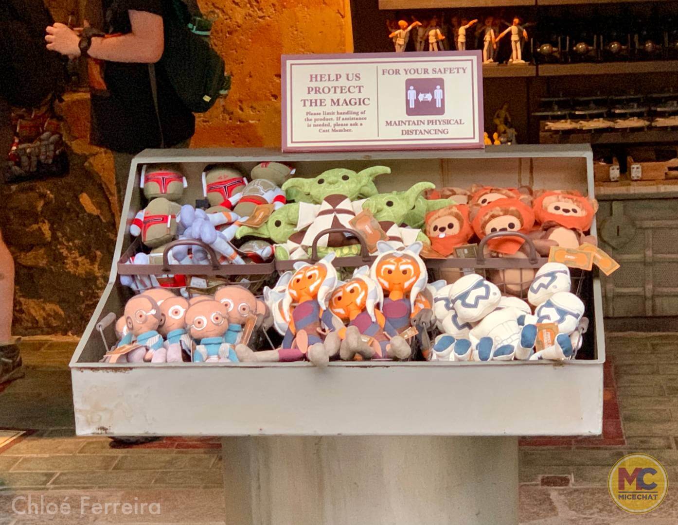 , Walt Disney World Update – The Show WON’T Go On
