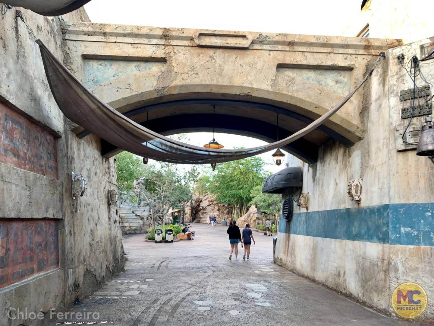 , Walt Disney World Update – The Show WON’T Go On