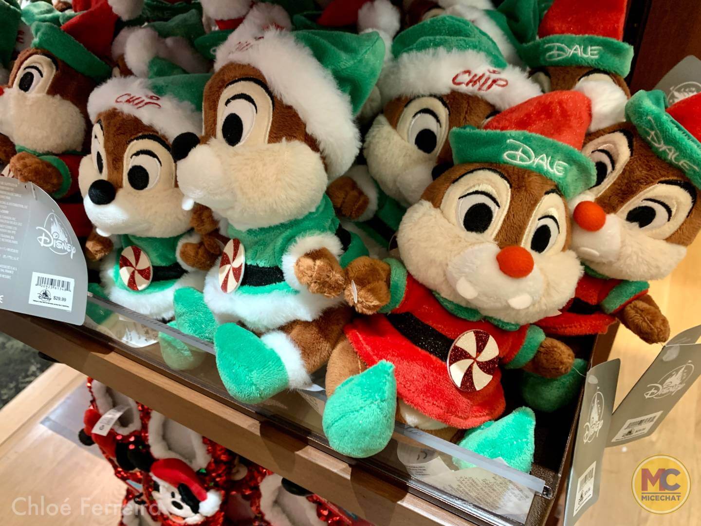, Walt Disney World Update – The Show WON’T Go On