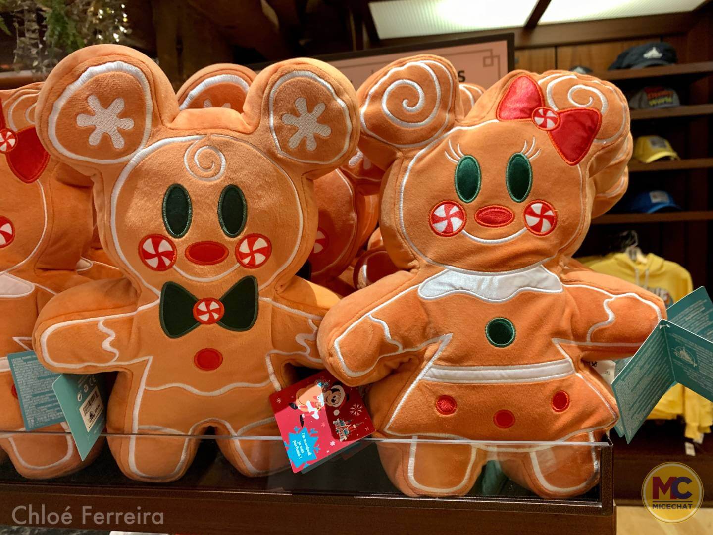 , Walt Disney World Update – The Show WON’T Go On
